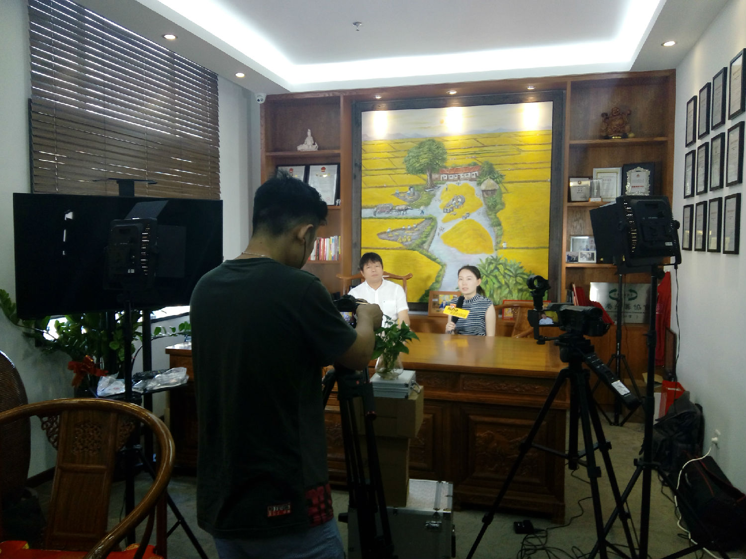云南汉康生物科技有限公司董事长 CBD提取第一人 潘宗兵采访拍摄中